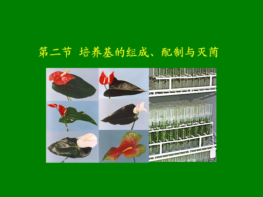 医学课件第二节培养基的组成配制与灭菌.ppt_第1页