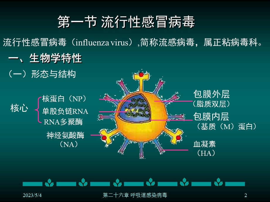 医学课件第二十六章呼吸道病毒.ppt_第2页