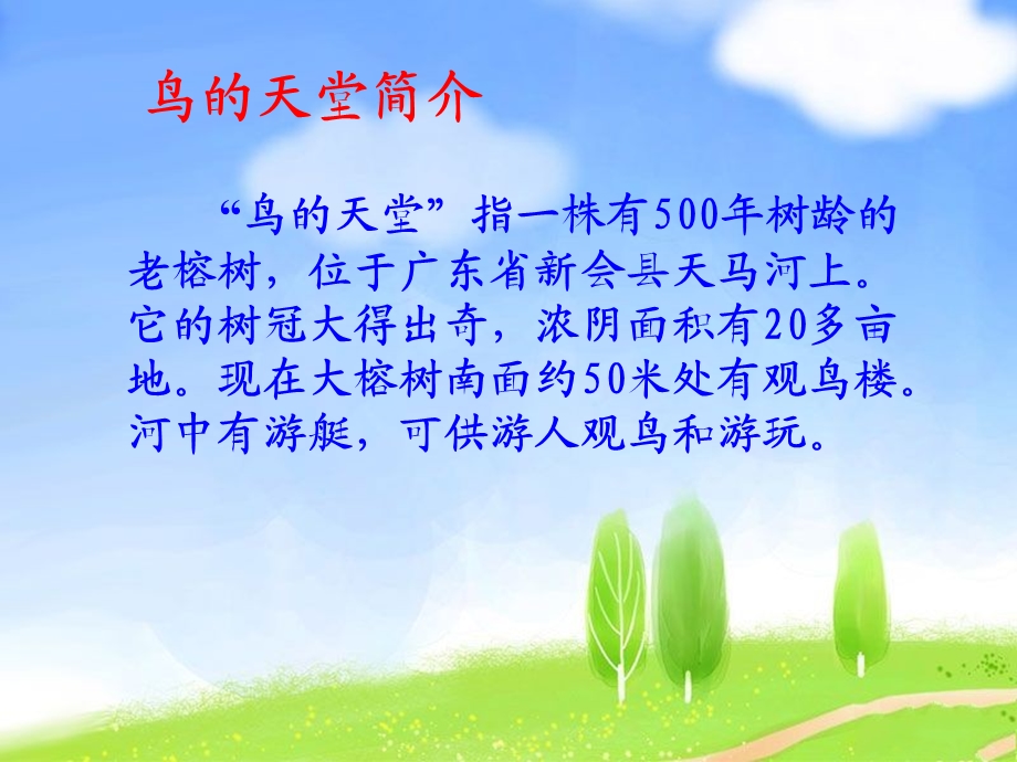 《鸟的天堂》教学课件1.ppt_第3页