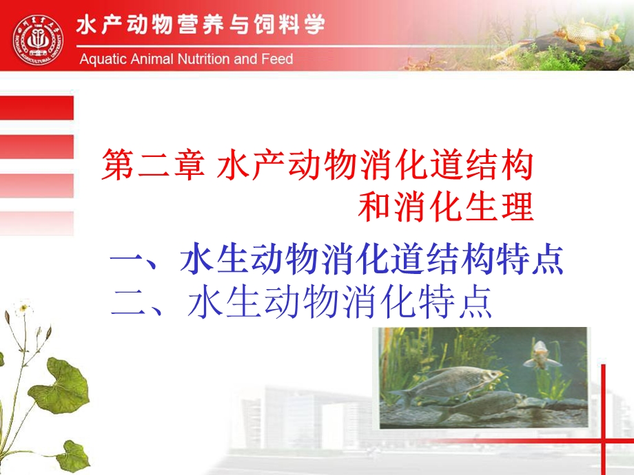 医学课件第二水生动物消化道结构和消化生理.ppt_第2页