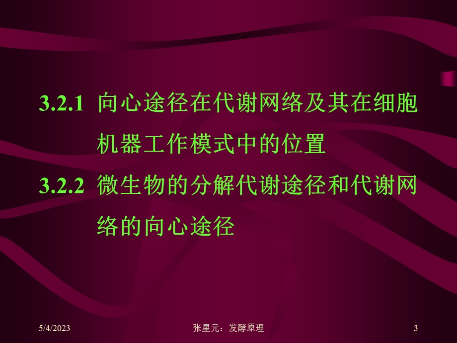 医学课件第二部分微生物代谢网络的向心板块.ppt_第3页