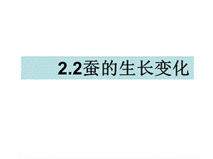 三年级下册科学课件2.2蚕的生长变化 教科版(共18张PPT).ppt