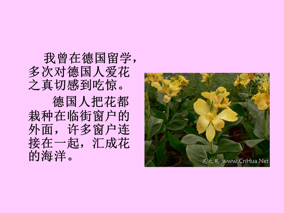 25自己的花是让别人看的 [精选文档].ppt_第2页