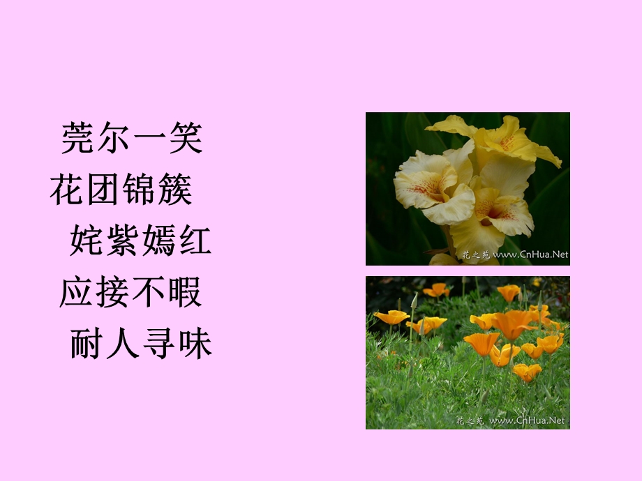 25自己的花是让别人看的 [精选文档].ppt_第3页