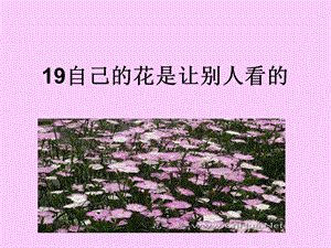 25自己的花是让别人看的 [精选文档].ppt