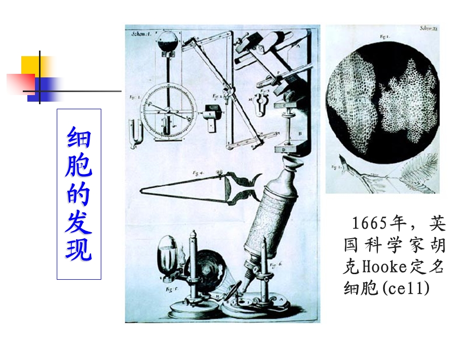 ch2生命活动基本单位细胞1文档资料.ppt_第1页