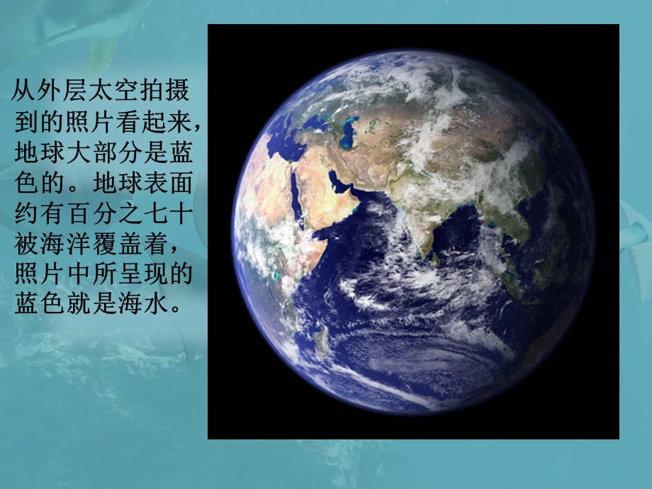 三年级下册科学课件神奇的海底世界｜粤科版 (共12张PPT).ppt_第2页