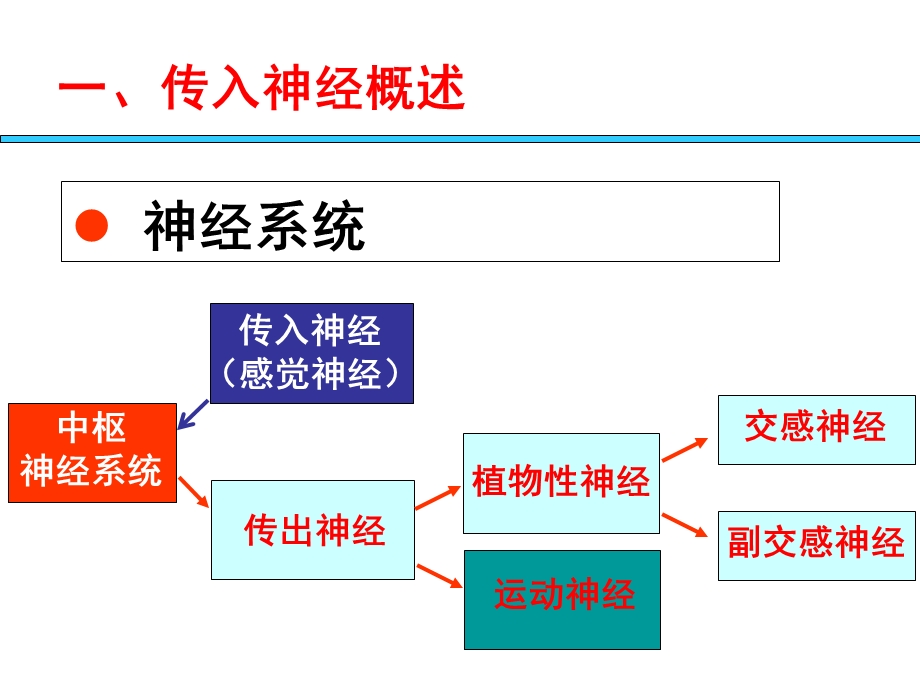 6作用于传入神经系统的药物(局麻药)文档资料.ppt_第1页