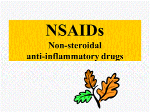 NSAID相关性胃粘膜损伤的防治PPT文档.ppt