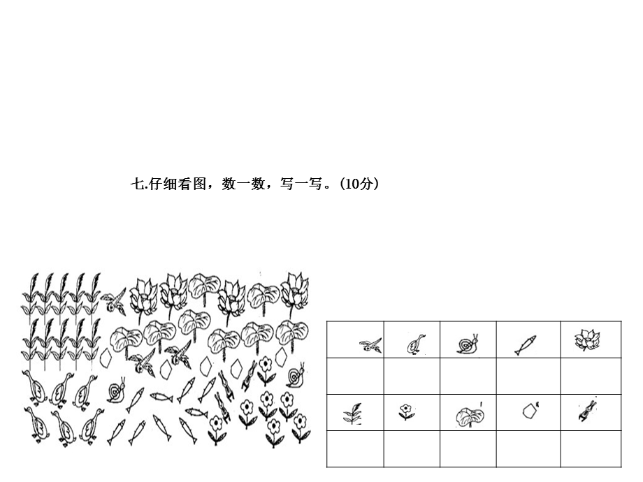 一年级上册数学适合白板使用.ppt_第1页