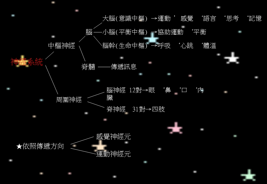 医学课件神经系统与动物行为.ppt_第3页