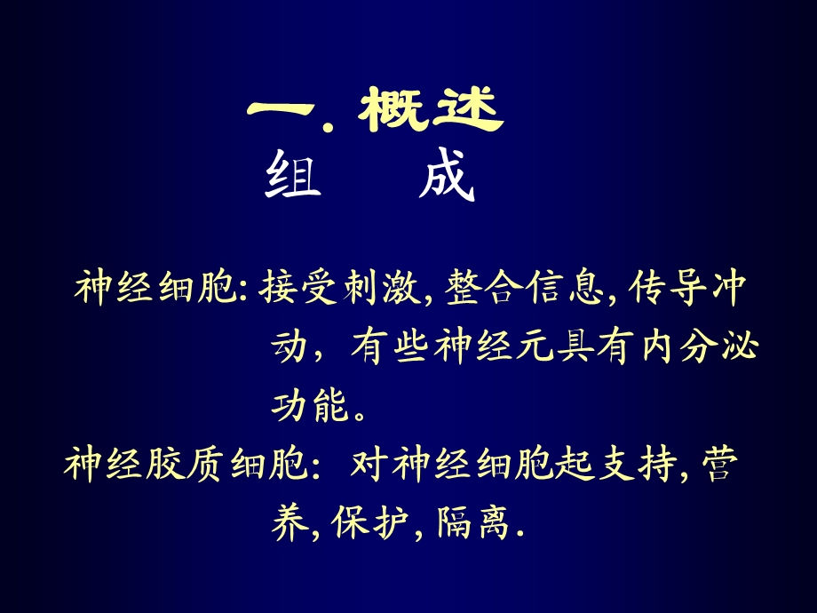 07.神经组织精选文档PPT文档.ppt_第1页