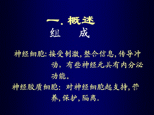 07.神经组织精选文档PPT文档.ppt