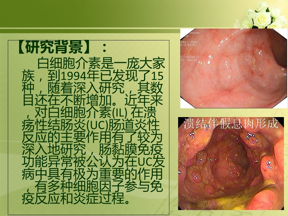 IL17在消化道炎症中的发生及促炎症、抗感染作用文档资料.ppt_第3页