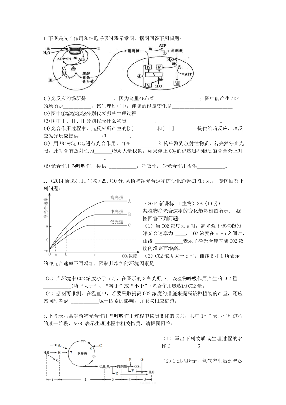 最新光合作用习题汇编.doc_第1页