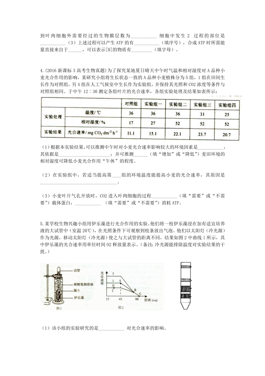 最新光合作用习题汇编.doc_第2页