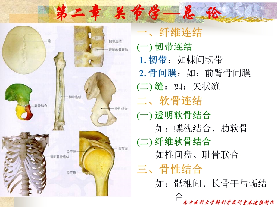 10关节学析课件文档资料.ppt_第2页