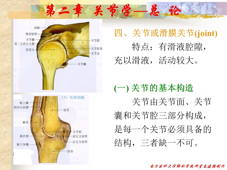 10关节学析课件文档资料.ppt_第3页