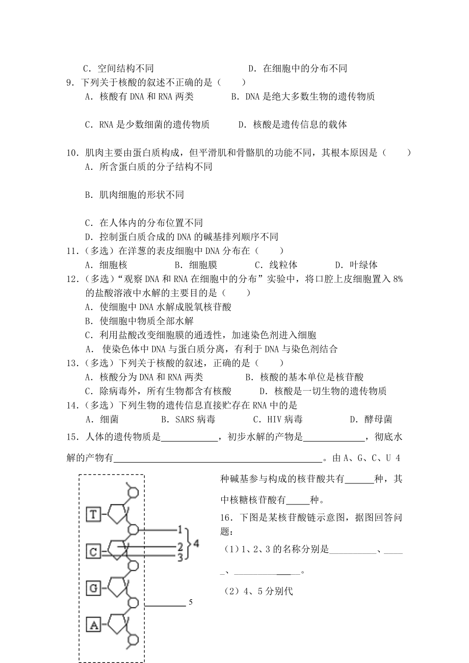 最新1.2.3核酸汇编.doc_第3页