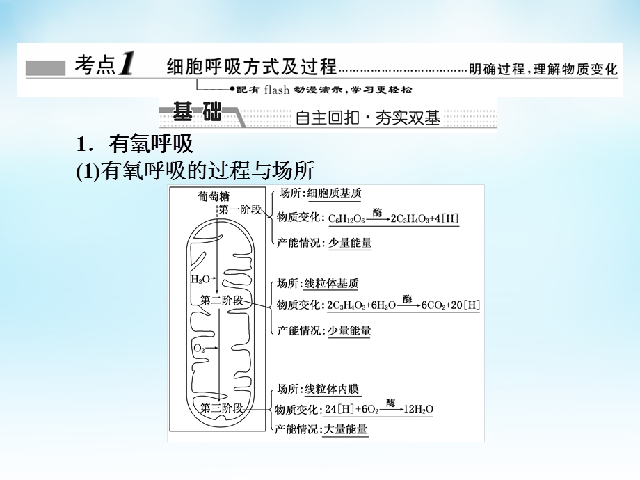 高三生物一轮复习 第三单元 第2讲 细胞呼吸课件 新人教版必修精选文档精选文档.ppt_第1页