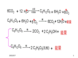 【PPT】细胞的增殖.ppt