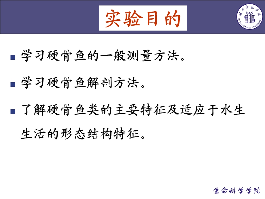 鲫鱼的解剖与观察.ppt_第2页