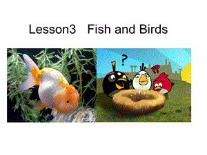 三年级下册英语课件－Lesson 3 Fish and Birds｜冀教版三起(共21张PPT).ppt