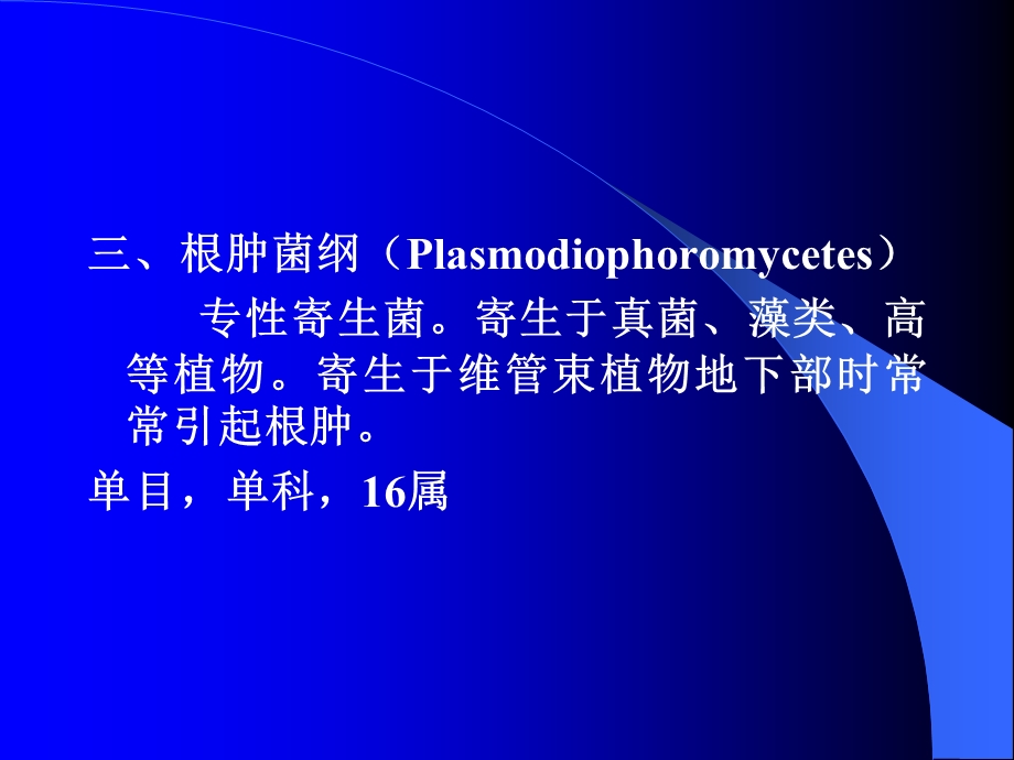 医学课件第二粘菌门.ppt_第2页