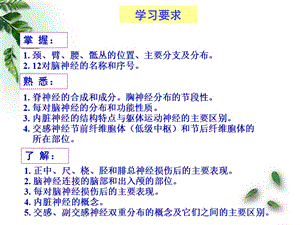 10解剖组胚学神经系统脊神经(临床专业)PPT文档.ppt