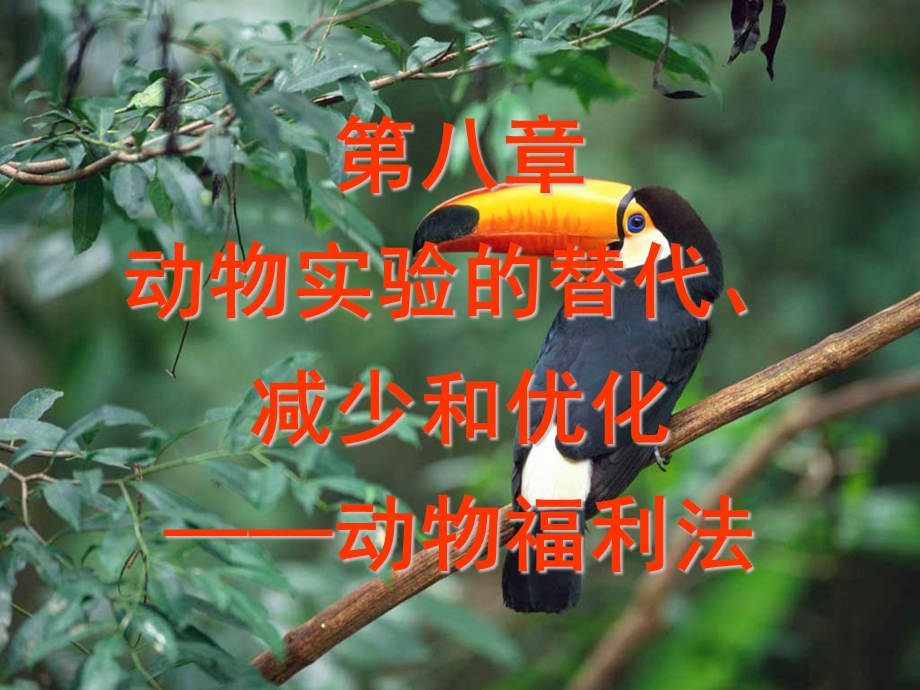 第八章动物福利名师编辑PPT课件.ppt_第2页