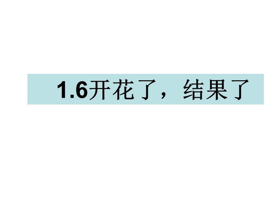 三年级下册科学课件1.6开花了结果了 教科版(共9张PPT).ppt_第1页