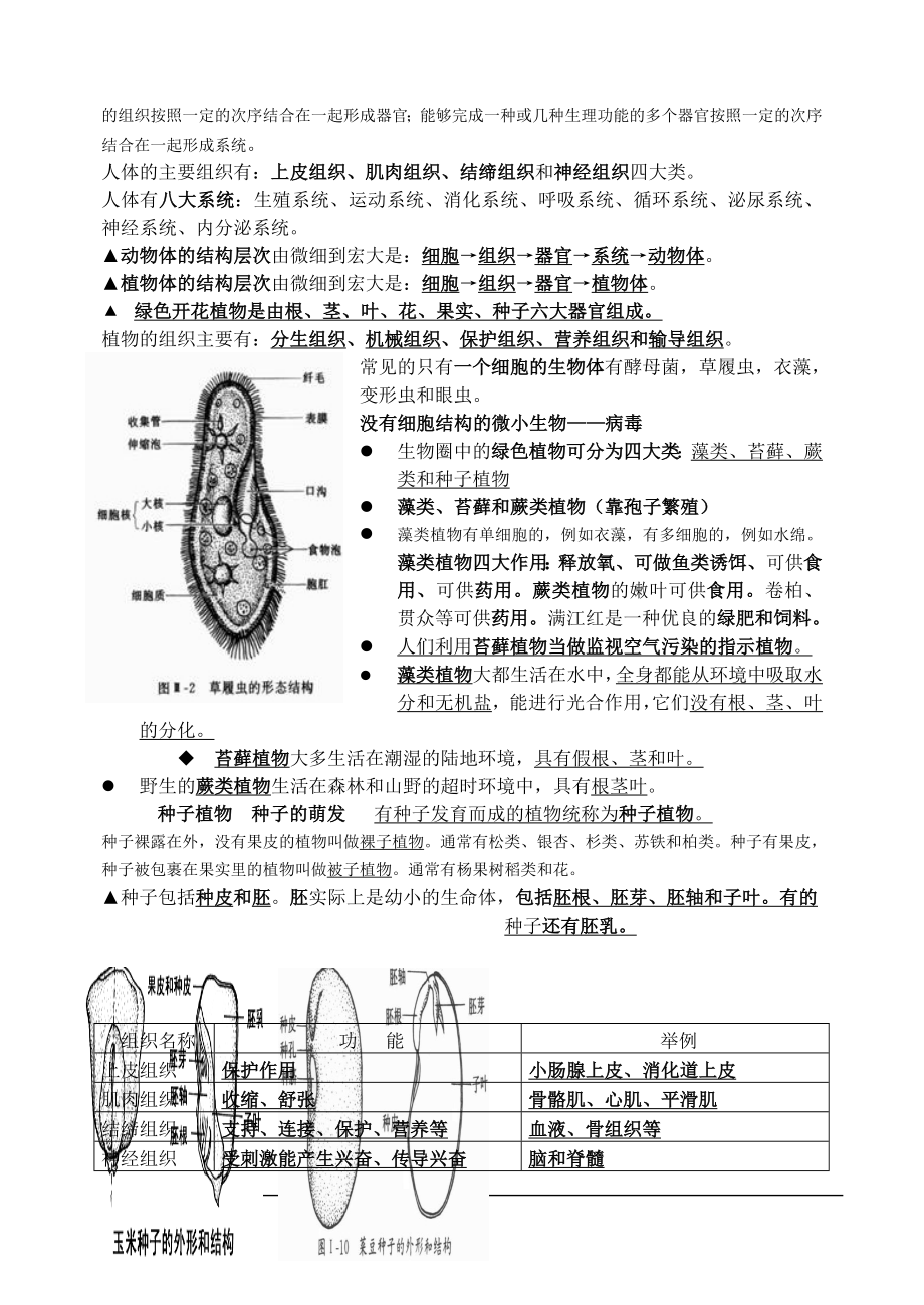 人教版生物七年级上册复习提纲肖鹏[精选文档].doc_第3页