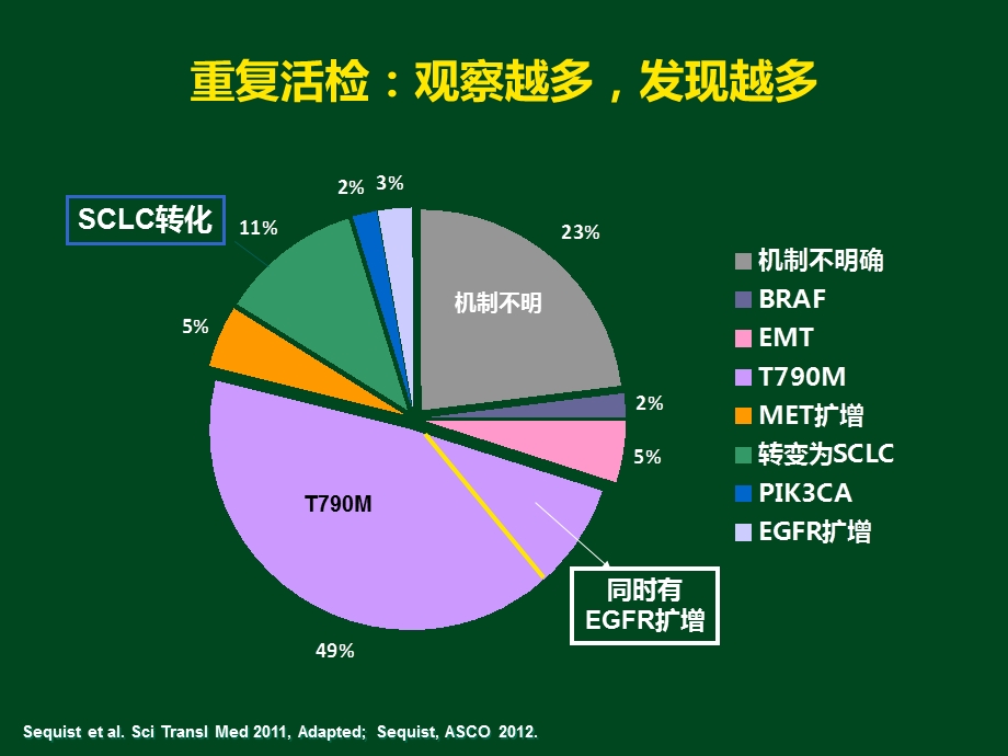 EGFRTKI耐药后治疗的策略last文档资料.ppt_第2页