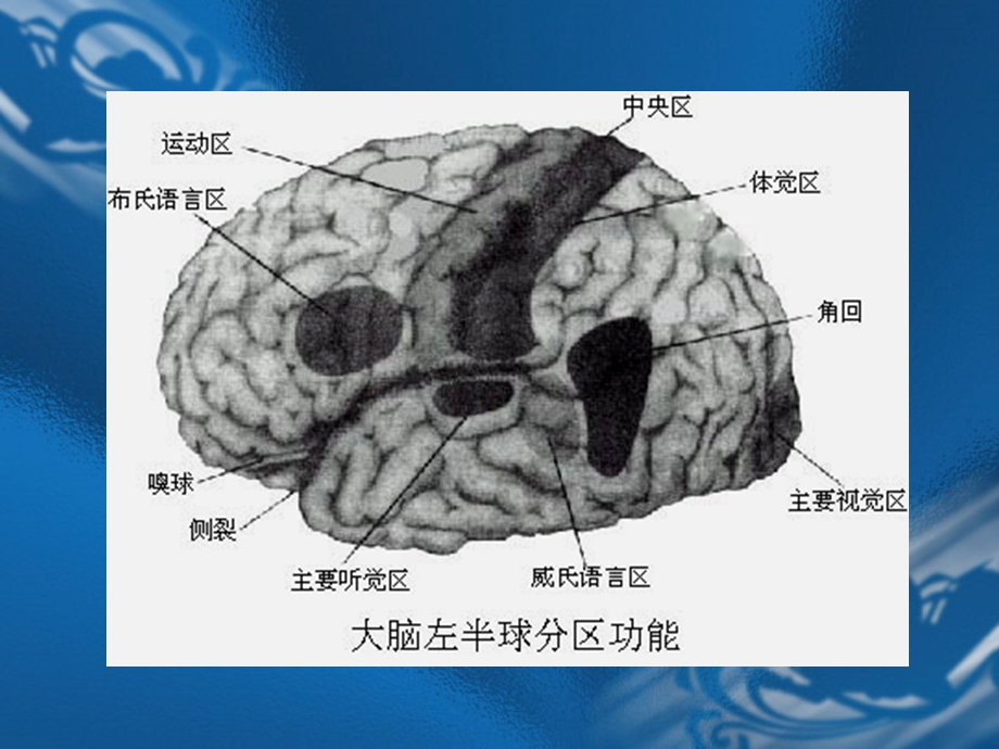 MRI解剖—颅脑精选文档.ppt_第1页