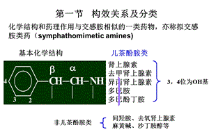 08肾上腺素受体激动药文档资料.ppt