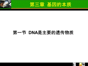 医学课件第三章基因的本质.ppt