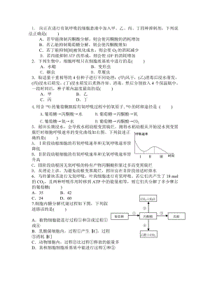 最新ATP主要来源——细胞呼吸练习题汇编.doc