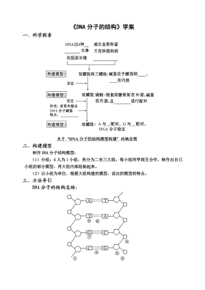 最新3.2DNA分子的结构学案1汇编.doc