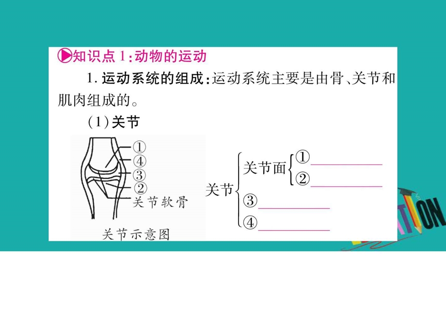 最新中考生物总复习教材考点梳理八上第5单元第23章课件..ppt_第2页