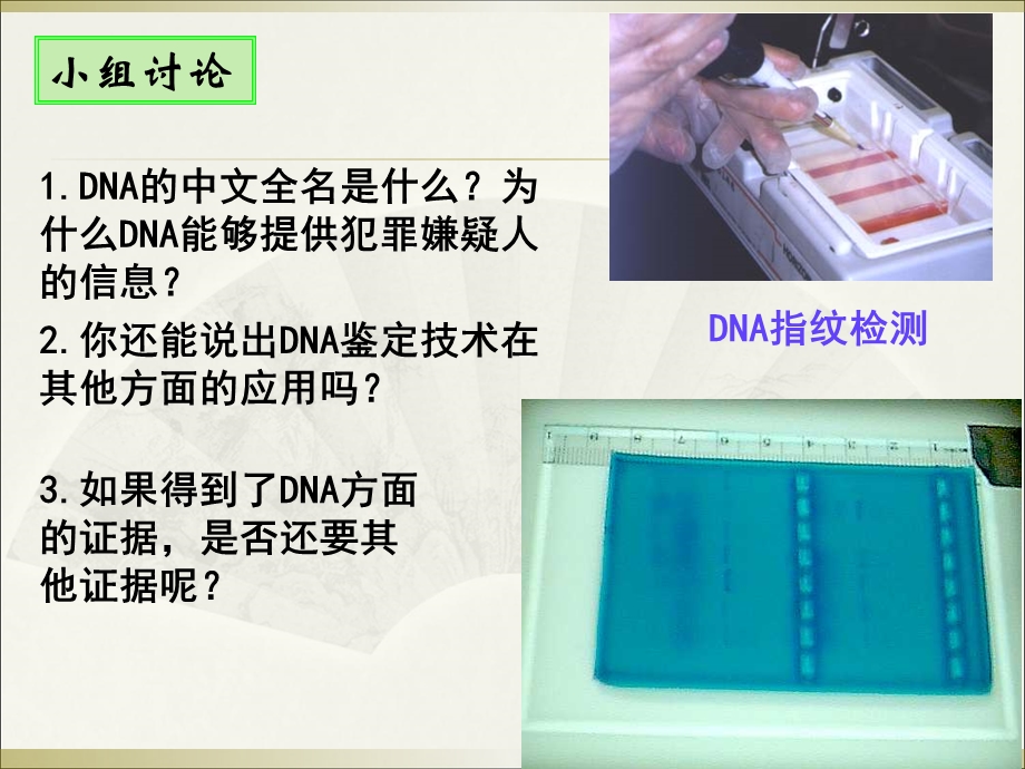 2.3遗传信息的携带者核酸叶银燕[精选文档].ppt_第2页