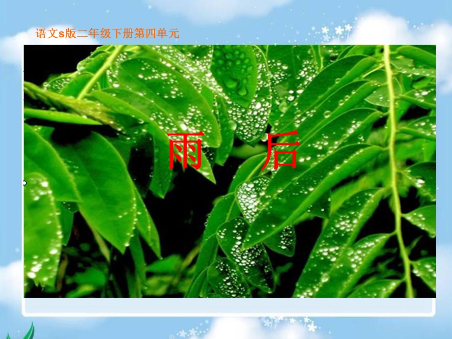 《雨后》课件(语文S版二年级下册课件).ppt_第1页