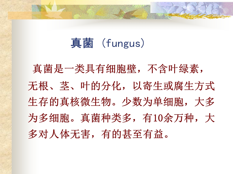 医学课件真菌fungus精品PPT课件.ppt_第1页