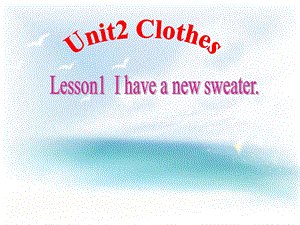 三年级下册英语课件－Unit 2Lesson 1 I have a new sweater｜鲁科版五四制三起 (共16张PPT).ppt