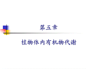 医学课件第五章植物体内有机物代谢.ppt