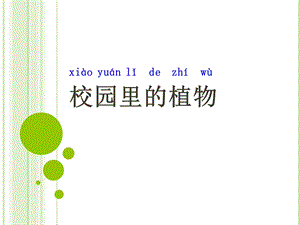 一年级上册科学课件1.6校园里的植物6 l教科版 (共14张PPT)教学文档.ppt