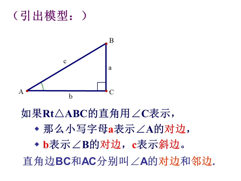 24.1锐角的三角比的意义[精选文档].ppt_第3页