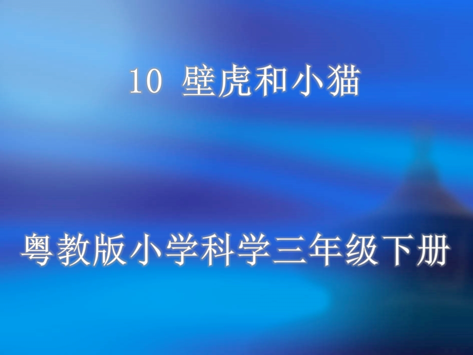 三年级下册科学课件10 壁虎与小猫｜粤科版 (共15张PPT).ppt_第1页