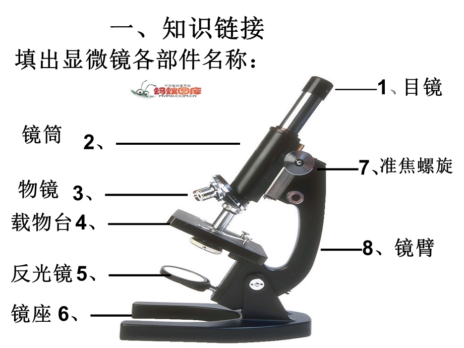 1、解开生物体结构的秘密[精选文档].ppt_第3页