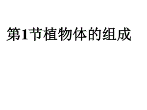 最新苏科版生物七年级下册9.1植物体的组成ppt课件..ppt