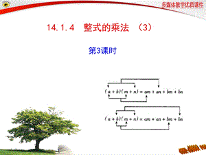 14.1.4整式的乘法第3课时课件[精选文档].ppt